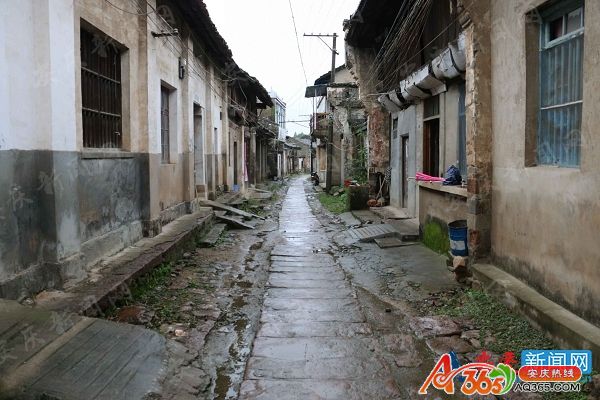 雨中漫步东四北大街，探寻梧桐树影下的西单文化广场静谥美