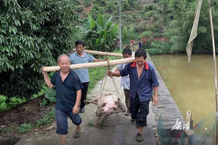 阳沟，细节解析与全面概述