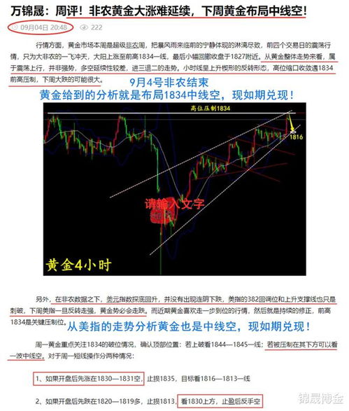 黄金暴跌背景下的投资逻辑与策略，60万抄底行为分析