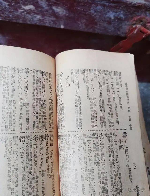 李维刚，名字背后的故事与多元角色探索