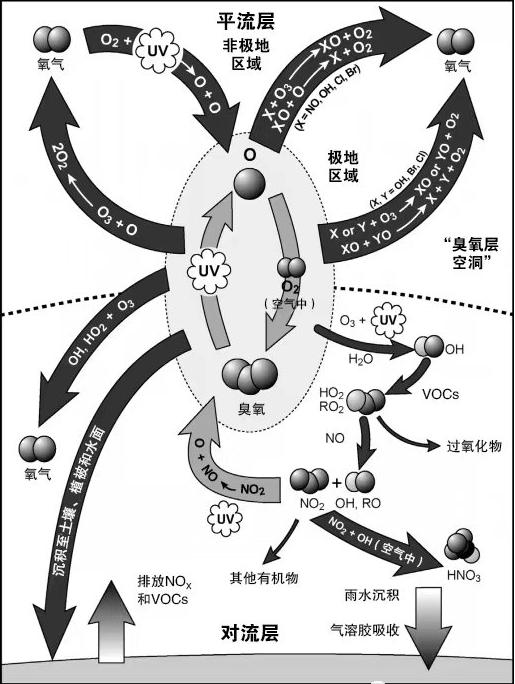 上海高档楼盘惊现污染地块，警示与反思