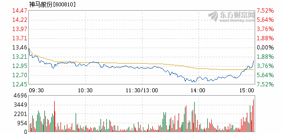 神马股份股票，深度探究与未来前景展望