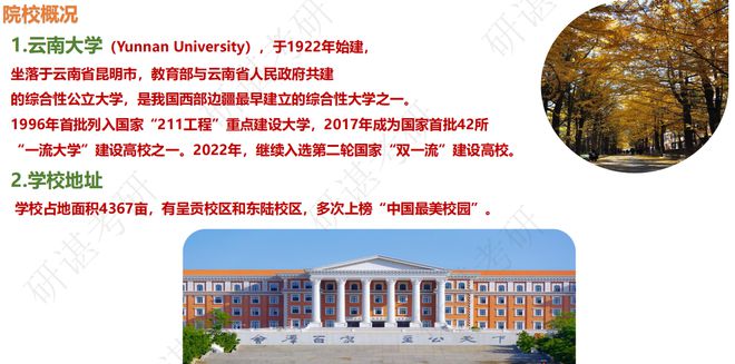 云南大学政府管理学院的多元魅力与独特发展之路