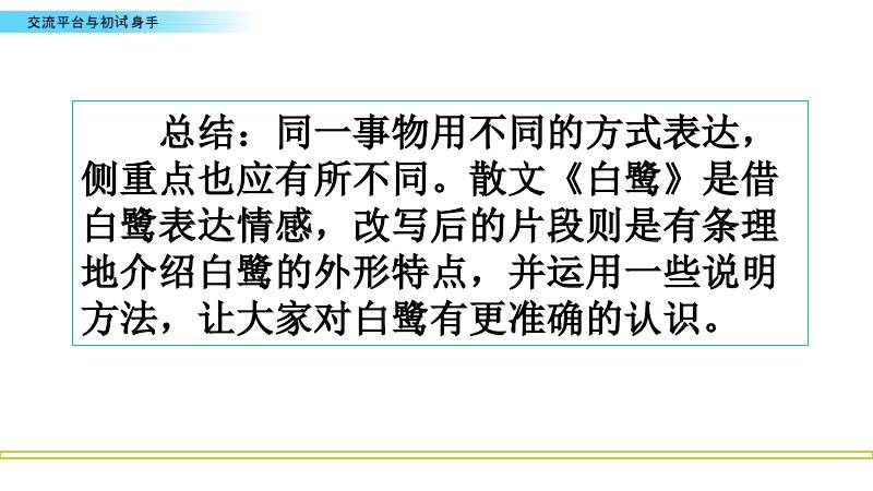 白鹭的优雅姿态与生活习性，自然观察下的解读