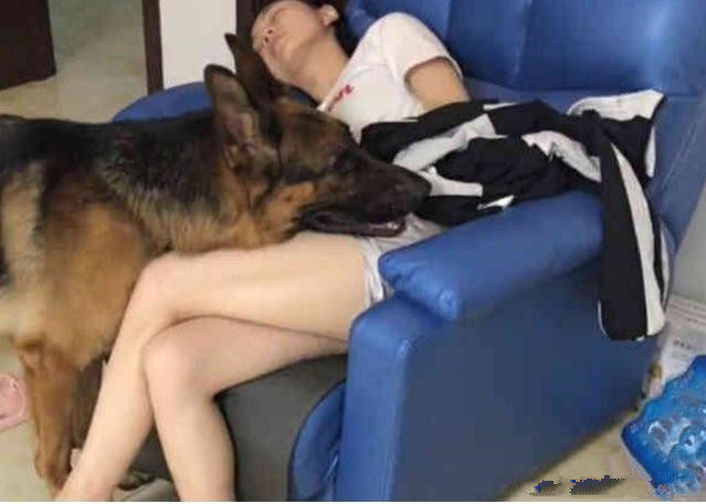 女子遭大型犬撕咬，司机紧急鸣笛救援行动