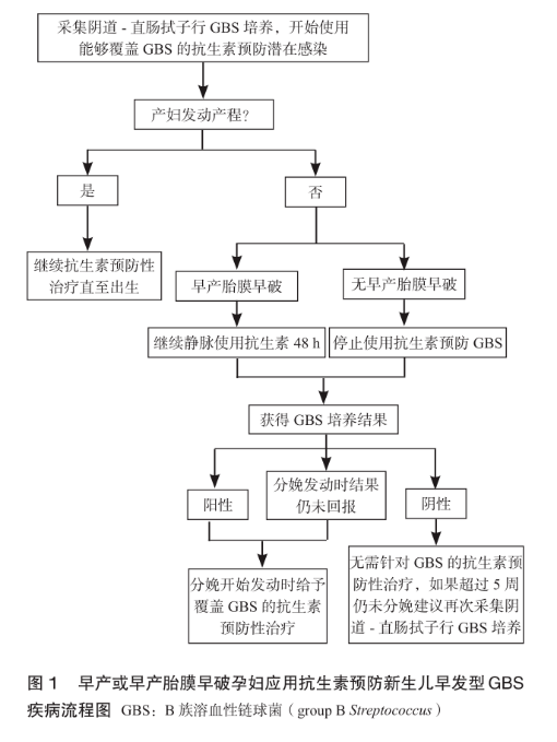 揭秘GBS筛查，探究其真实面目与功能作用