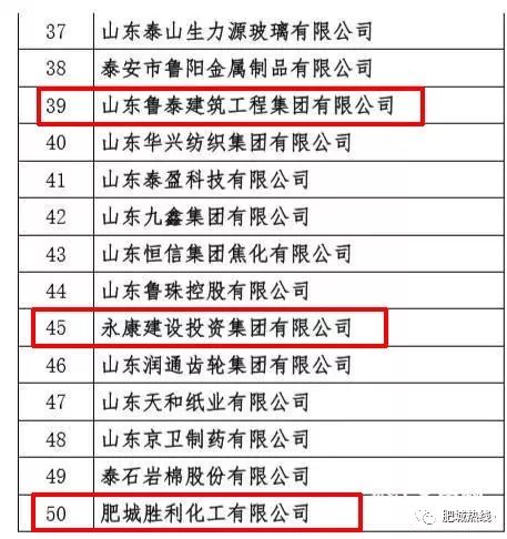 东平县企业排名与影响力深度解析