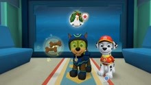 Paw Patrol狗狗英雄，无畏的救援英雄之旅