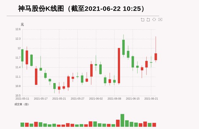 神马股份2021年业绩展望与未来前景分析