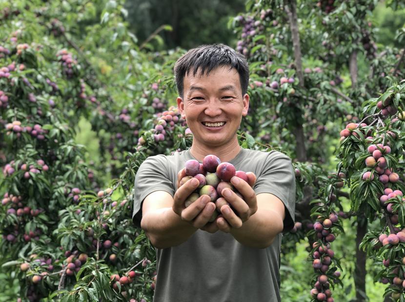 村委会征婚广告牵线乡村都市，联姻新尝试启动