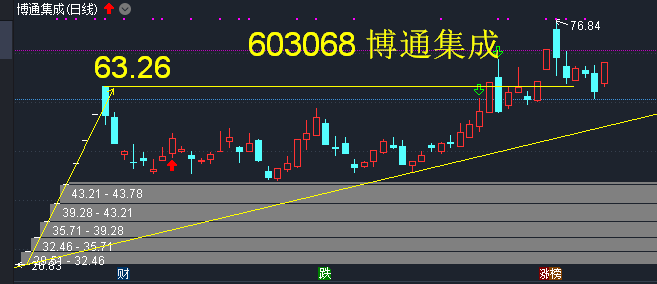 博通股价跃升背后的驱动力与前景展望分析