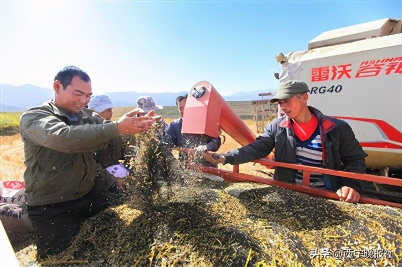 西宁乡村规划智能化，塑造未来农村新蓝图