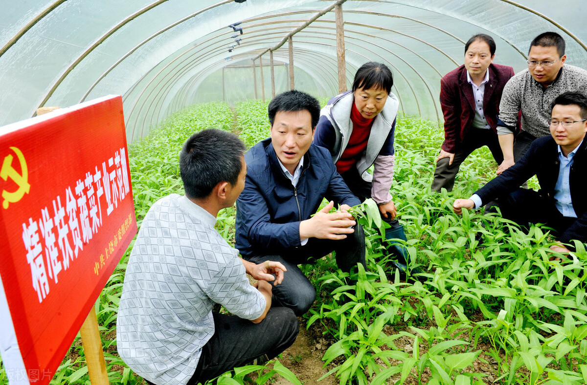 合肥扶贫改革建设的探索之路