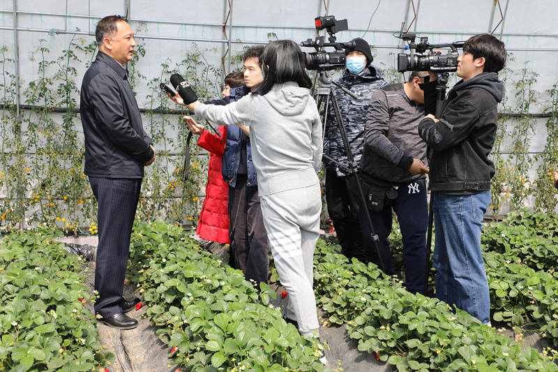 长春乡村建设蓬勃发展势头强劲