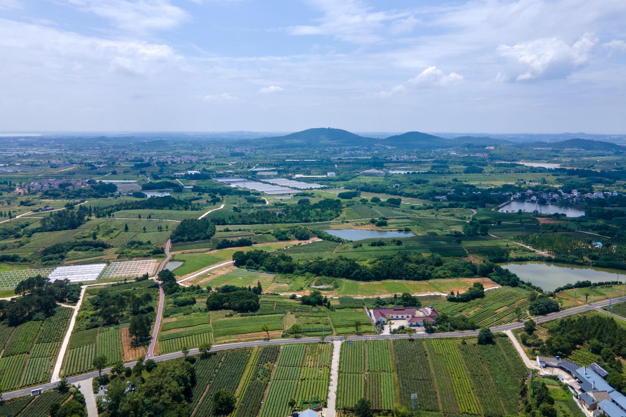 南京经济乡村，城市与乡村的和谐共生之路