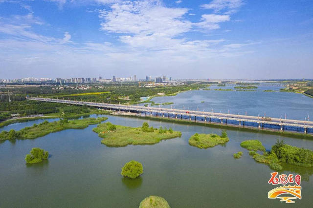 石家庄重塑城市生态健康，构建绿色未来之路