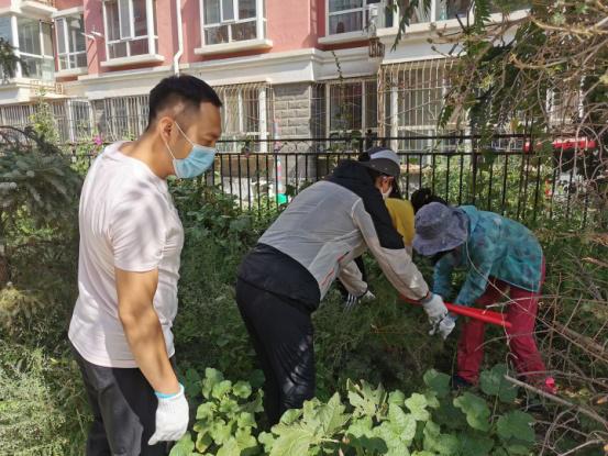 呼和浩特环境科技改革，塑造绿色未来之路的征程