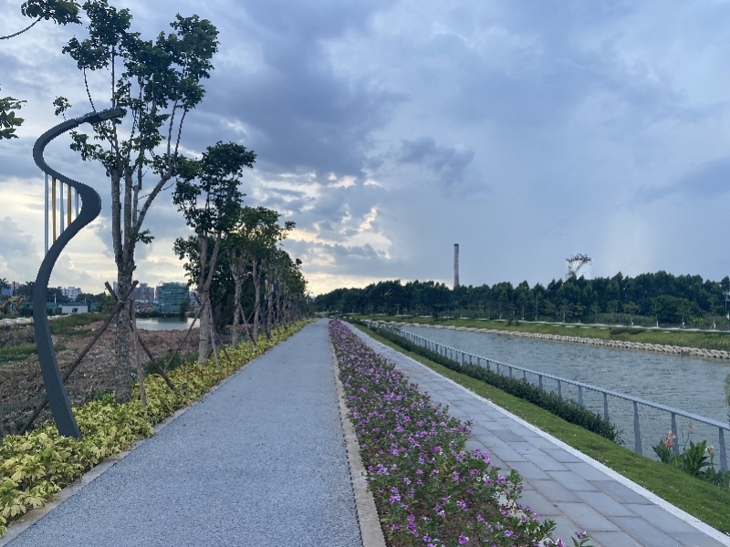 东莞健康治理生态，构建城市新动力，推动可持续发展