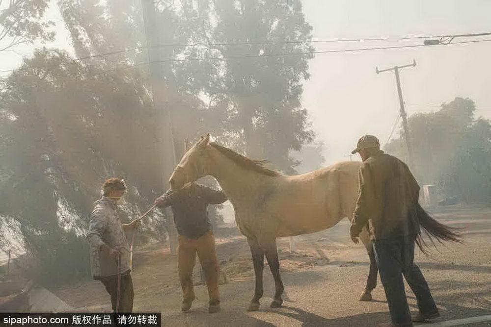 洛杉矶山火亲历者的灾难体验与深刻反思