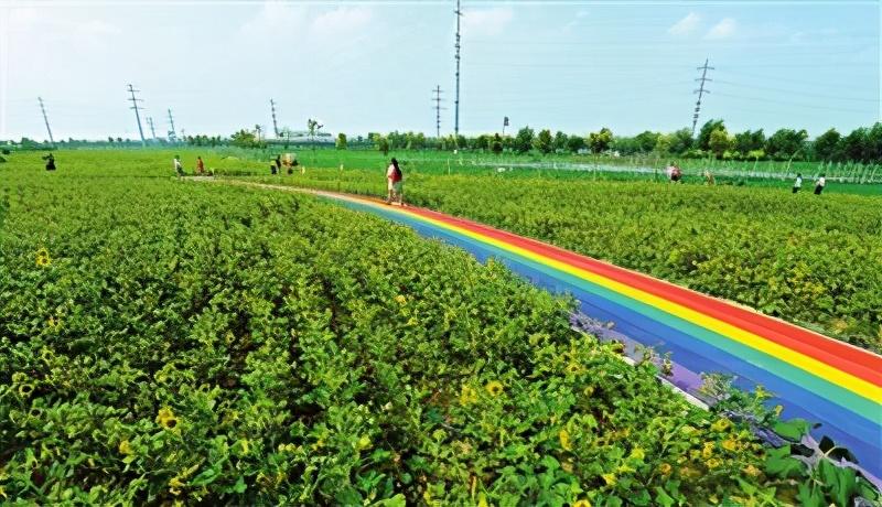 天津城市生态，繁荣与绿色的和谐共生共融之道