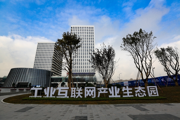 重庆企业经济生态，繁荣发展的多维透视