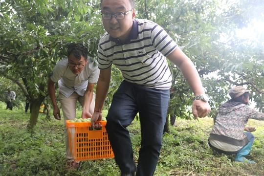 广州扶贫智能创新，探索新时代精准扶贫新模式