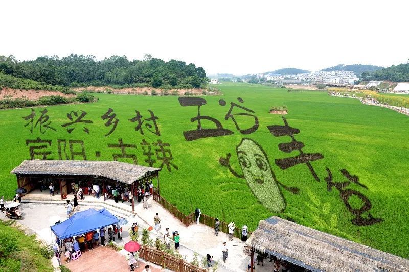 南宁乡村投资文化，探索之路与未来前景