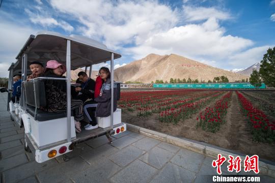 拉萨乡村创新制造，传统与现代的完美融合