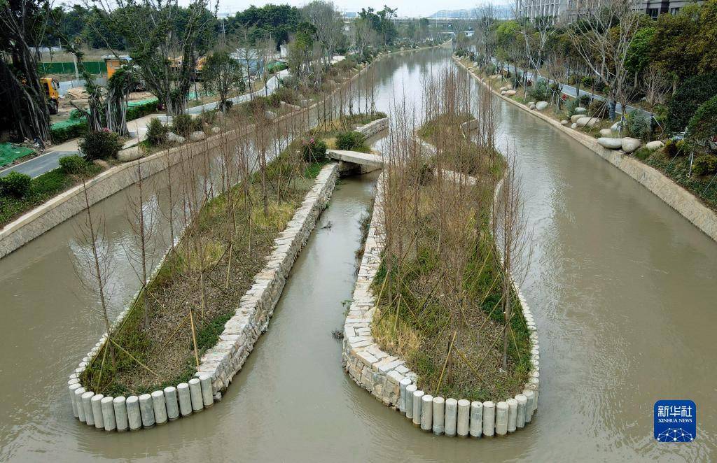 福州环境治理，宜居城市的坚实步伐