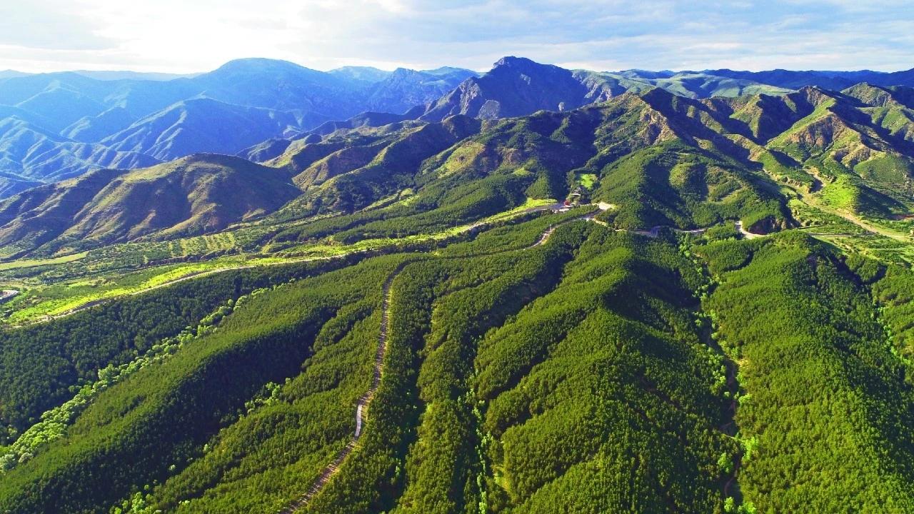 呼和浩特建设投资企业，引领城市发展的核心驱动力