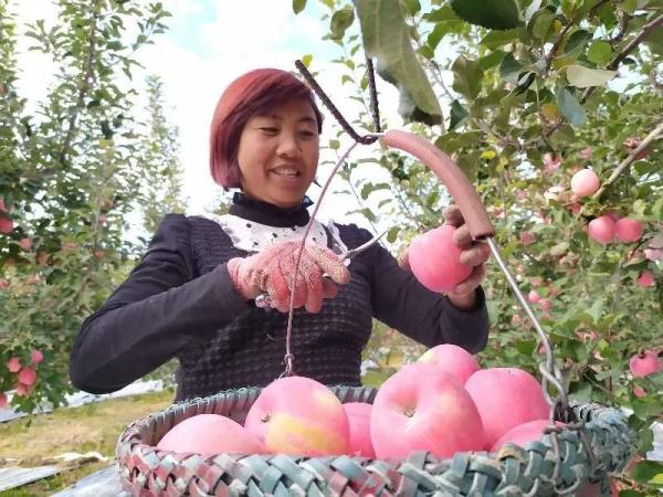 乌鲁木齐，智能乡村建设引领新时代田园都市典范