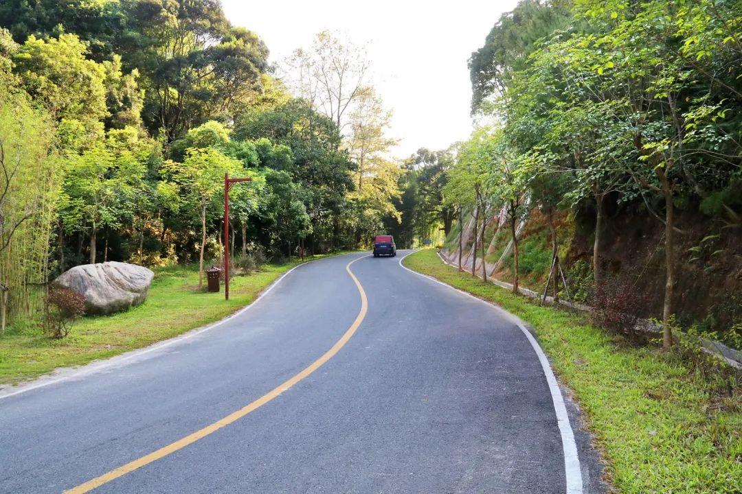 广州乡村建设，城市与乡村的和谐共生之路