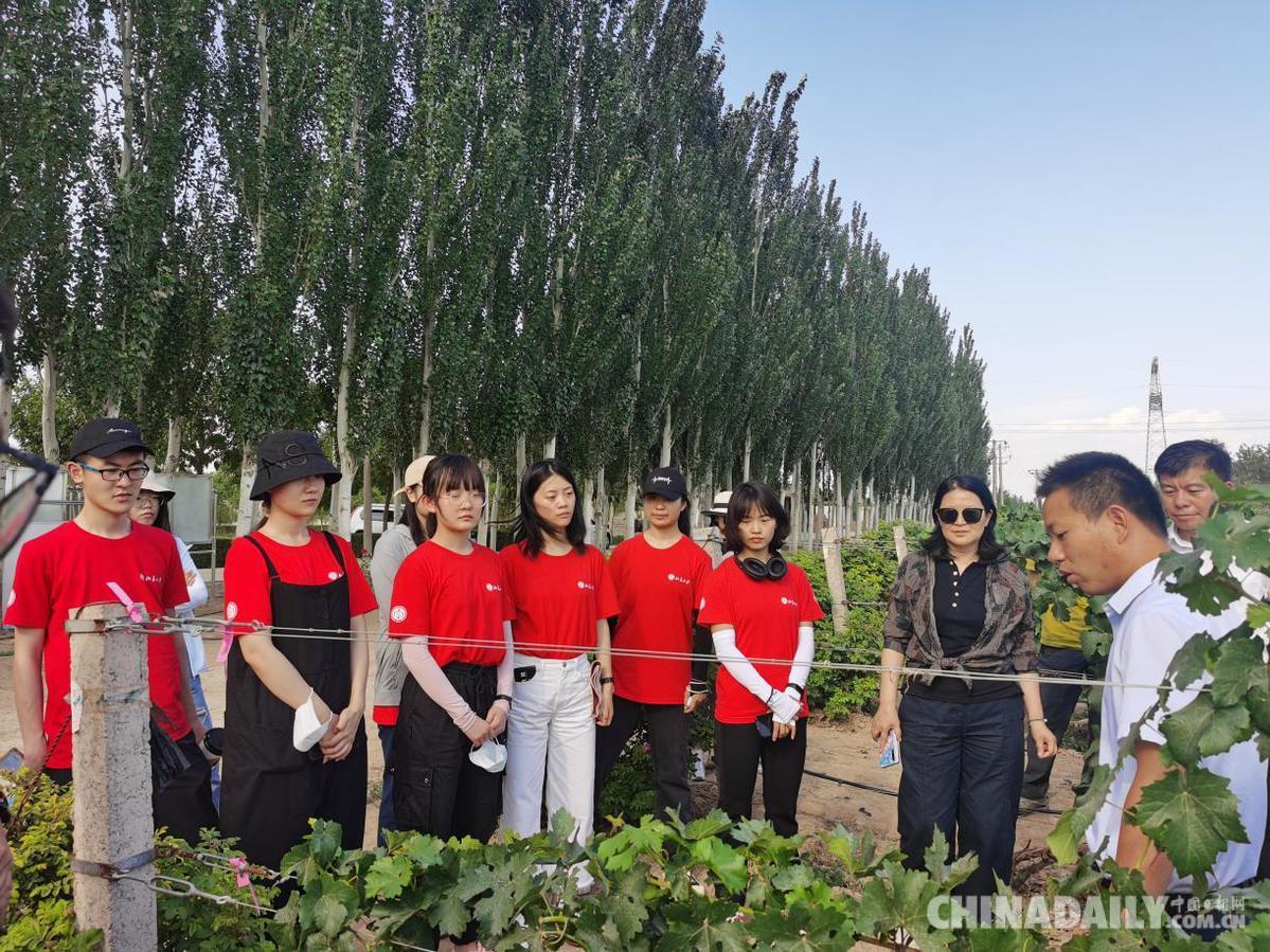 银川扶贫投资，点亮希望之光，脱贫攻坚助力行动