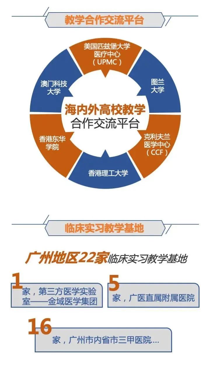 广州健康人才规划，构建健康人才生态的战略蓝图揭秘