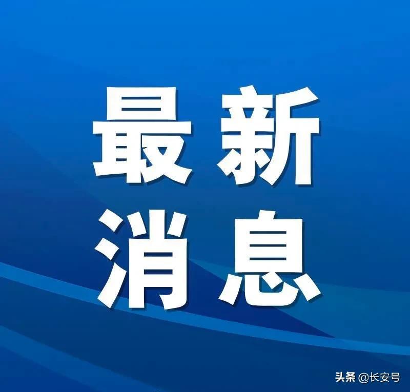 2025年2月11日 第30页