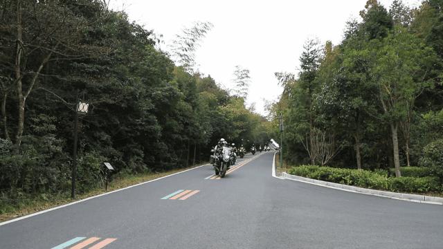 深圳未来消费就业趋势深度解析