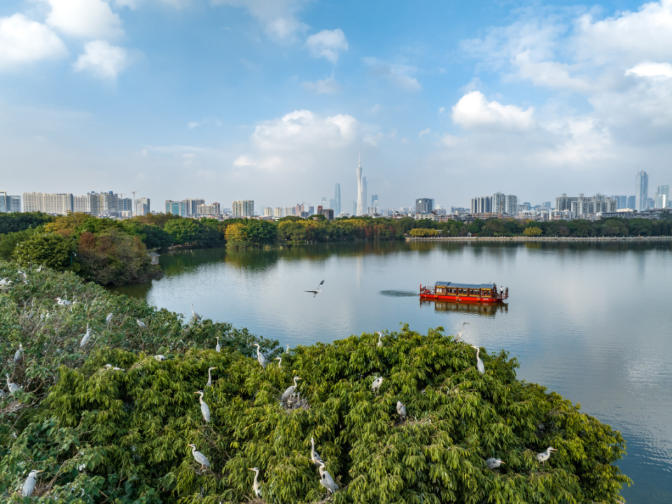 广州生态建设，绿色发展的探索与实践之路