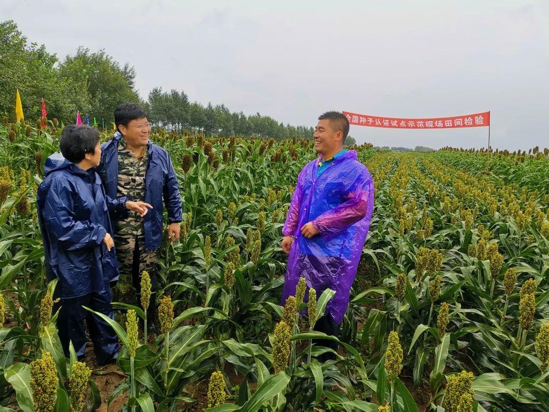 广州人才乡村健康，人才振兴与乡村健康的和谐共生之路