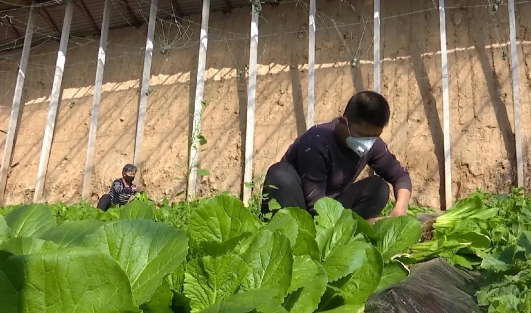 一道菜背后的恩情与缘分，感人故事揭秘